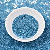 MIYUKI Delica Beads SEED-X0054-DB1709-2