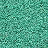 11/0 Grade A Baking Paint Glass Seed Beads X-SEED-N001-A-1030-2