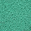 11/0 Grade A Baking Paint Glass Seed Beads X-SEED-N001-A-1030-2