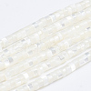 Natural Trochid Shell/Trochus Shell Beads Strands X-SSHEL-L016-13A-1