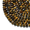 Natural Tiger Eye Beads Strands G-P573-A60-01-3