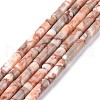 Natural Red Netstone Beads Strands X-G-F247-51-1