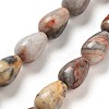 Natural Crazy Agate Beads Strands G-B106-A14-01-2