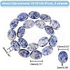  2 Strands Flat Oval Natural Blue Spot Jasper Beads Strands G-NB0003-78-3