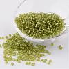 8/0 Glass Seed Beads X-SEED-A005-3mm-24-1