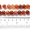 Natural Fire Crackle Agate Beads Strands G-G212-10mm-10-3