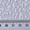 Opaque Glass Seed Beads SEED-S042-12A-01-4