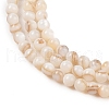 Natural Freshwater Shell Beads Strands SHEL-T011-02-3mm-3
