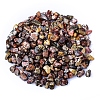Natural Leopard Skin Jasper Tumbled Chips PW-WGA7DCE-43-1