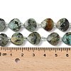 Natural African Turquoise(Jasper) Beads Strands G-D316-A03-4
