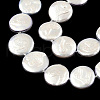 Plating Natural Freshwater Shell Beads Strands SHEL-N026-225B-3