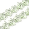 Transparent Glass Beads Strands GLAA-H038-02B-1