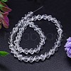 Faceted Polyhedron Imitation Austrian Crystal Bead Strands G-M183-10mm-01A-2