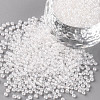 11/0 Grade A Transparent Glass Seed Beads X-SEED-N001-F-238-1