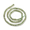 Natural Green Apatite Beads Strands G-C009-A22-3