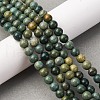 Natural Shoushan Jade Beads Strands G-L624-A01-6mm-1