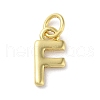 Rack Plating Brass Pendants KK-P245-06G-F-1