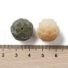 Natural Bodhi Root Beads FIND-Z037-05C-3