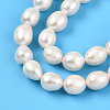 Natural Cultured Freshwater Pearl Beads Strands PEAR-N012-06Y-4