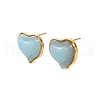 304 Stainless Steel Plastic Stud Earrings EJEW-P316-15G-1