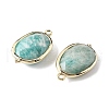 Natural Amazonite Faceted Oval Connector Charms G-H323-02G-12-2