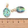 Constellation Natural Paua Shell Pendants KK-P265-01G-01-3