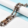 Natural Mexican Lace Agate Beads Strands G-E578-02A-4