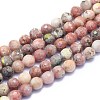 Natural Plum Blossom Jasper Beads Strands G-K310-A14-8mm-1