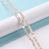 Electroplate Glass Beads Strands GLAA-E036-04C-2