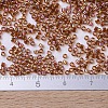 MIYUKI Delica Beads Small SEED-X0054-DBS0170-4