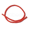 Natural Freshwater Shell Beads Strands SSHEL-C013-08A-2