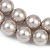 Round Shell Pearl Beads Strands BSHE-XCP0001-51-4