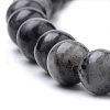 Natural Larvikite Beads Strands X-G-S259-06-12mm-3
