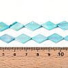 Dyed Natural Freshwater Shell Beads Strands SHEL-T020-13D-4