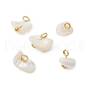 Natural Trochus Shell Chip Charms PALLOY-JF03437-01-1