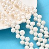 Natural Cultured Freshwater Pearl Beads Strands PEAR-I007-03F-01-1