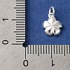 925 Sterling Silver Charms STER-M120-01D-S-3
