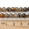 Natural Agate Beads Strands G-M437-B01-02-4