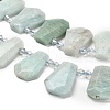 Natural Amazonite Beads Strands G-H078-A06-01-3