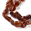 Natural Garnet Beads Strands G-P497-01C-38-4