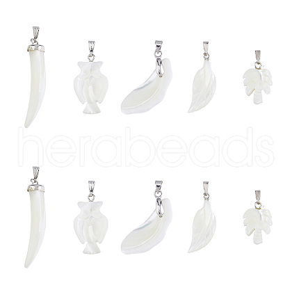 SUPERFINDINGS 10Pcs 5 Style Natural Trochid Shell/Trochus Shell Pendants SSHEL-FH0001-18-1