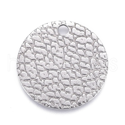 Non-Tarnish 304 Stainless Steel Charms STAS-M228-B01-P-1