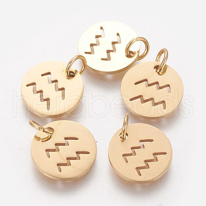 Ion Plating(IP) 304 Stainless Steel Pendants A-STAS-Q201-T445-11G-1