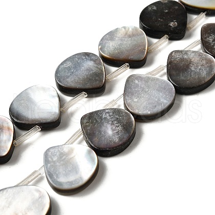Natural Black Lip Shell Beads Strands BSHE-D300-08-1