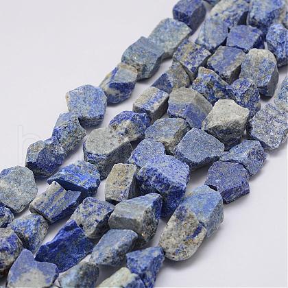 Raw Rough Natural Lapis Lazuli Beads Strands G-E343-13-1