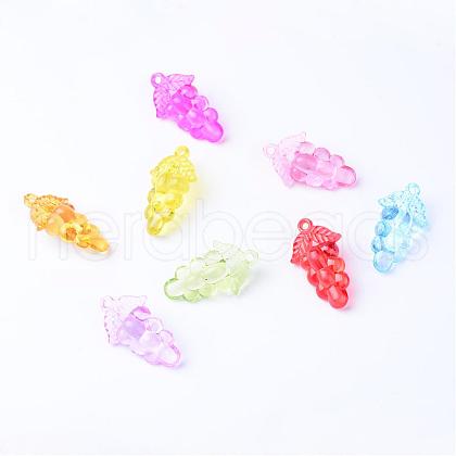 Transparent Acrylic Pendants TACR-S132-02-1