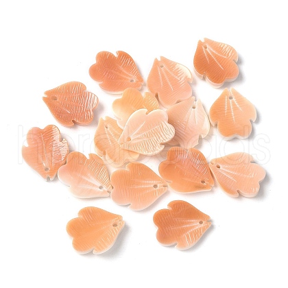 Natural Sea Shell Carved Leaf Charms SSHEL-C013-02C-1