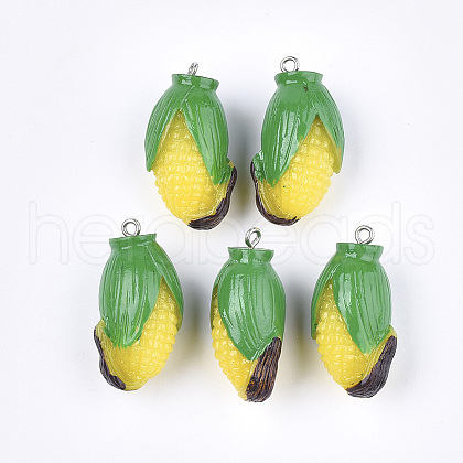 Resin Pendants X-RESI-T028-50-1