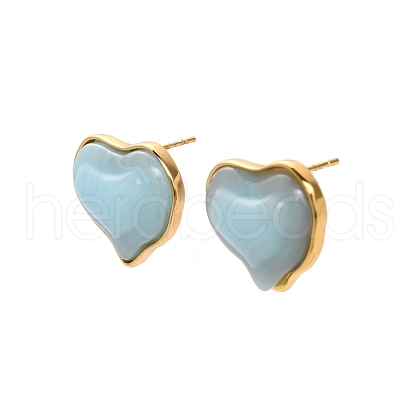 304 Stainless Steel Plastic Stud Earrings EJEW-P316-15G-1