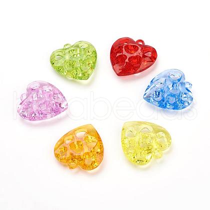 Transparent Acrylic Pendants TACR-R11-M-1